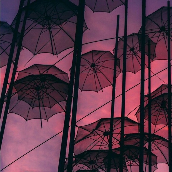 Meet your Posher, Serenity - Picture 1 of 1